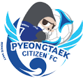 平澤市民 logo