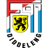 杜迪蘭治 logo
