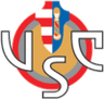 克雷莫納 logo