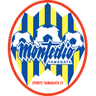 山形山神 logo