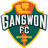 FC江原 logo