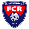 洛辛加特女足 logo