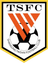 山東泰山 logo