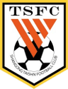 山東泰山 logo