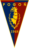 沙斯辛 logo