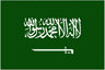 沙特阿拉伯U20 logo