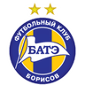 巴迪 logo