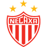 尼卡沙 logo