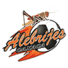 奧沙卡 logo