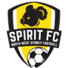 NWS精神 logo