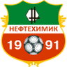 下卡姆斯克 logo