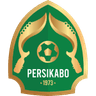 伯希卡波1973 logo