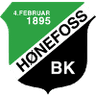 漢福斯女足 logo