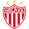 尼卡沙女足 logo