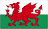 威爾斯U21 logo
