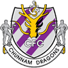 全南天龍 logo