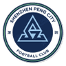 深圳新鵬城 logo