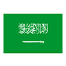 沙地阿拉伯U20 logo