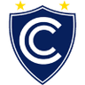 施恩施雅奴 logo